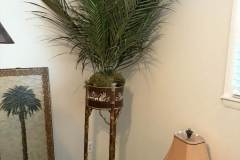 Messenger_creation_E50318AB-6A74-4851-9EBA-61E974AA94CB