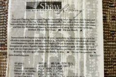 Messenger_creation_F1D88382-7F46-46A7-BAA7-07DCB8AE2B0F