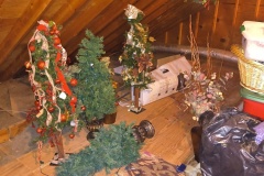 IMG_20260204_100304376