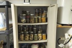 IMG_20260204_101120725