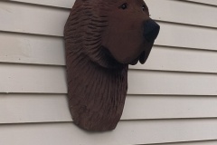 IMG_20260204_101941419