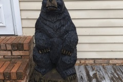 IMG_20260204_101953621